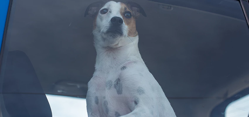 Car Lockout Solutions in El Dorado Hills, California